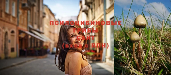 меф Рославль