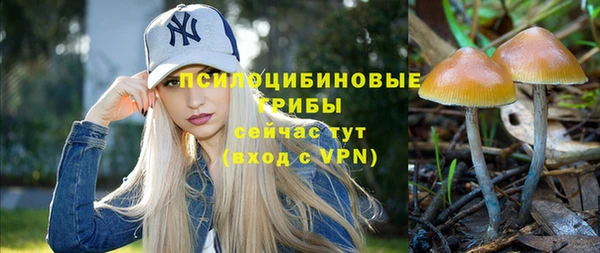 меф Рославль
