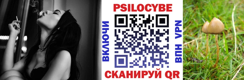 OMG tor  Великий Устюг  Галлюциногенные грибы Psilocybine cubensis 