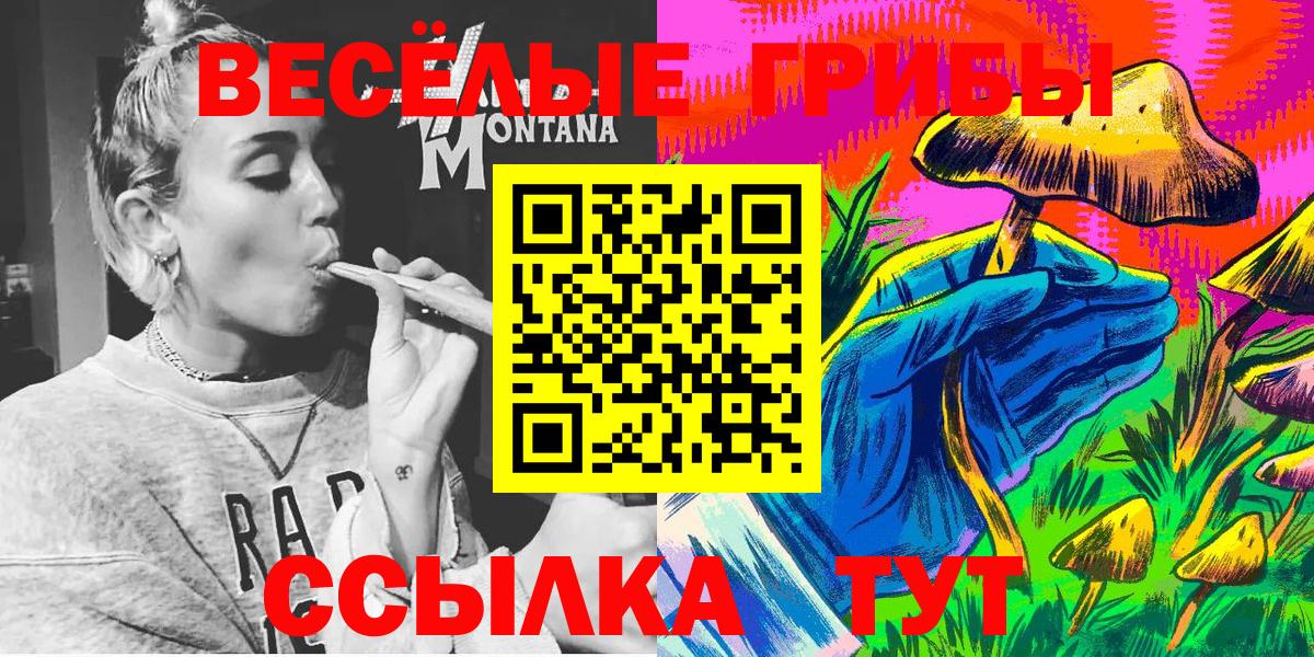 Галлюциногенные грибы прущие грибы  цены наркотик  Великий Устюг  Галлюциногенные грибы прущие грибы 