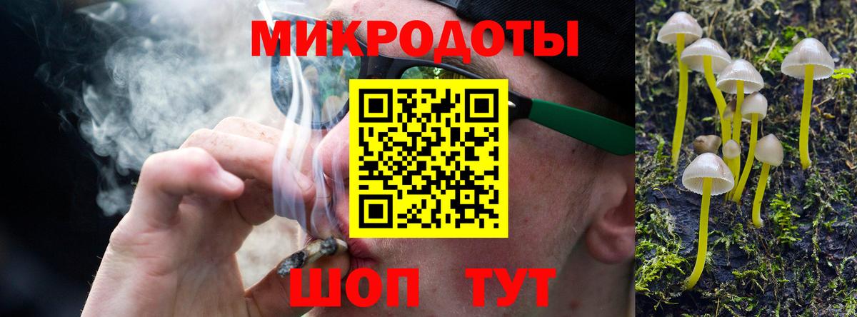 Галлюциногенные грибы Psilocybine cubensis Великий Устюг